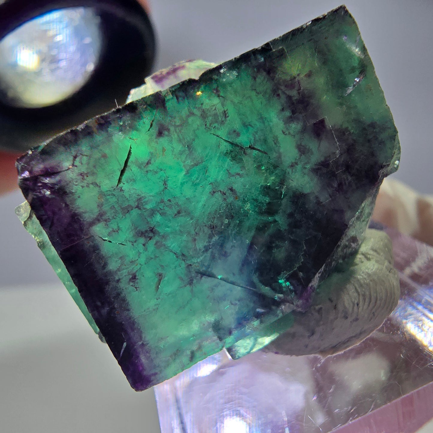Rare cube de fluorite fantôme parqueté vert violet Okorusu Namibie 30*25*13mm