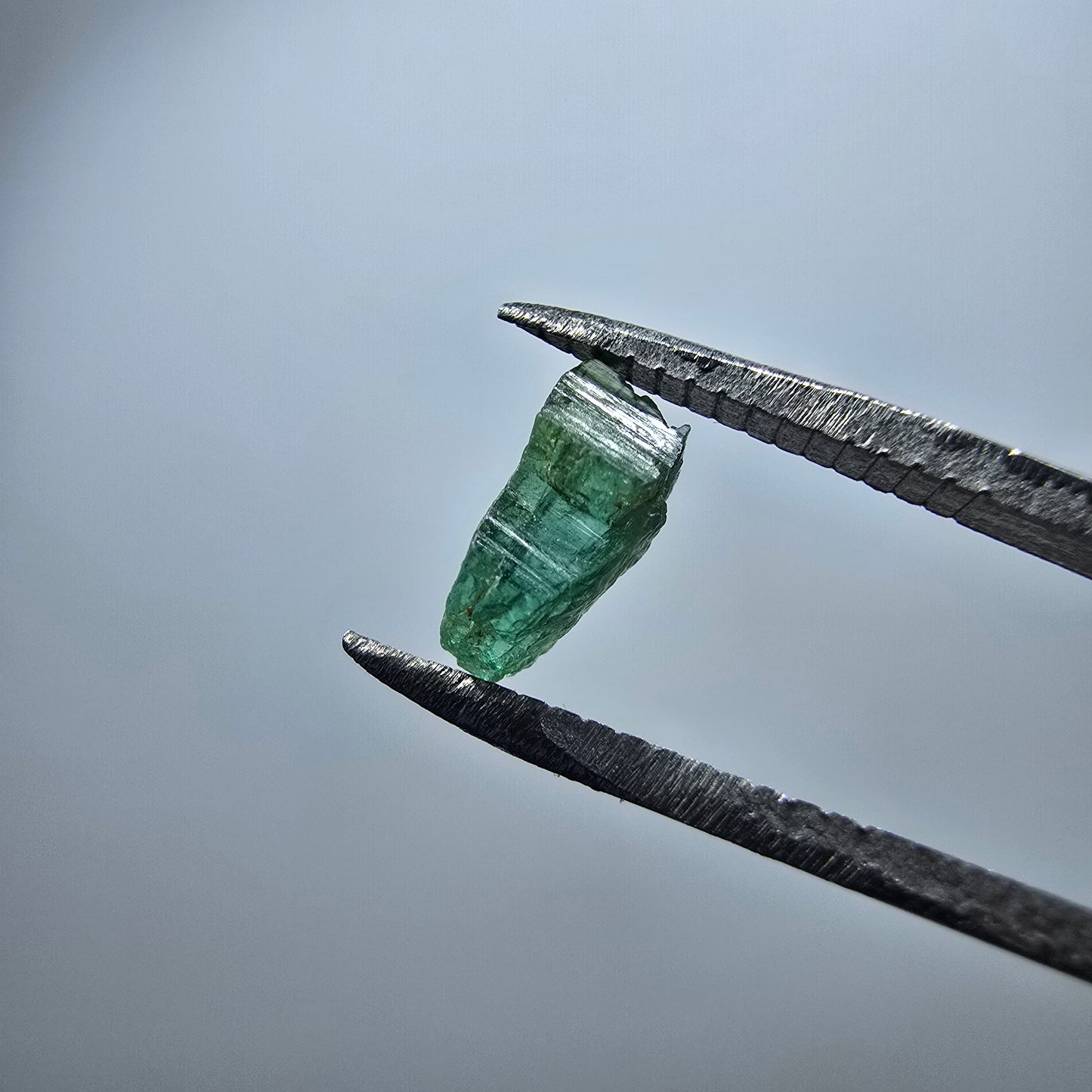 Cristal de tourmaline verdélite rare, vert Minas Gerais, Brésil #7989