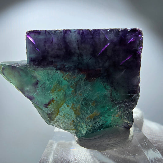 Rare spécimen de cube de fluorite fantôme, vert-violet zonal, Okorusu, Namibie, 33 x 27 x 30 mm