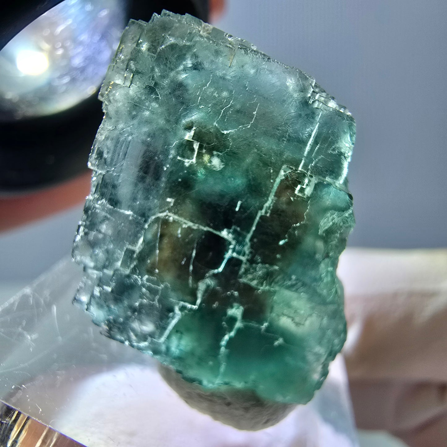 Phantom Fluorit Würfel Stufe, grün parkettiert Okorusu, Namibia 21*20*17mm