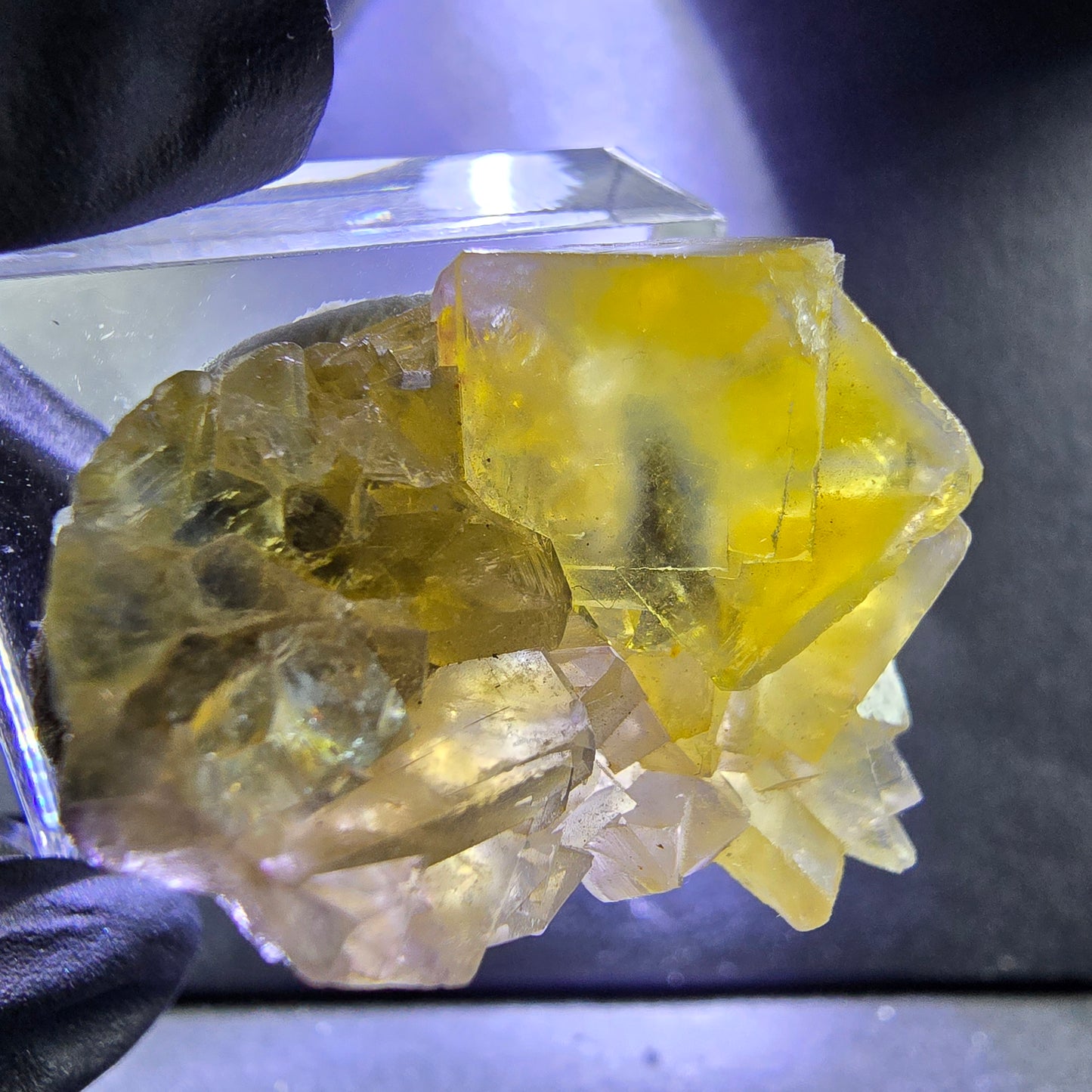 Seltene Honey Pocket Phantom Fluorit XX Würfel Stufe 31*20*19mm Okorusu, Namibia