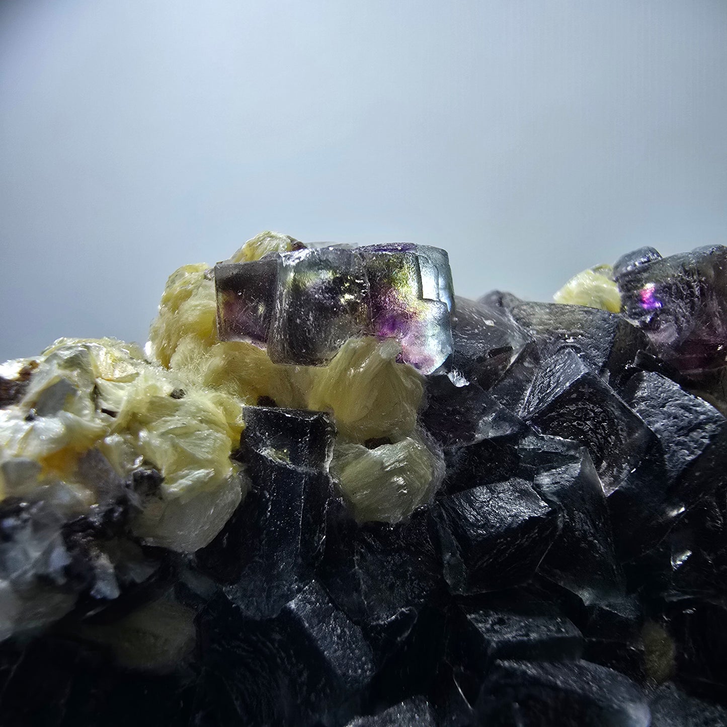 Cubes de fluorite fantôme colorés, spécimen de muscovite, Erongo, Namibie, 71 x 56 x 35 mm