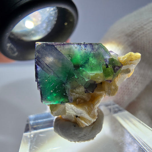 Cube de fluorite fantôme zonal, tourmaline muscovite Schörl Erongo Namibie 24 x 20 x 18 mm