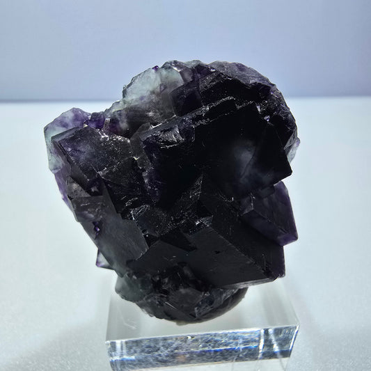 Spécimen rare de cube de fluorite fantôme, vert zonal et violet, Okorusu, Namibie, 40 x 39 x 21 mm