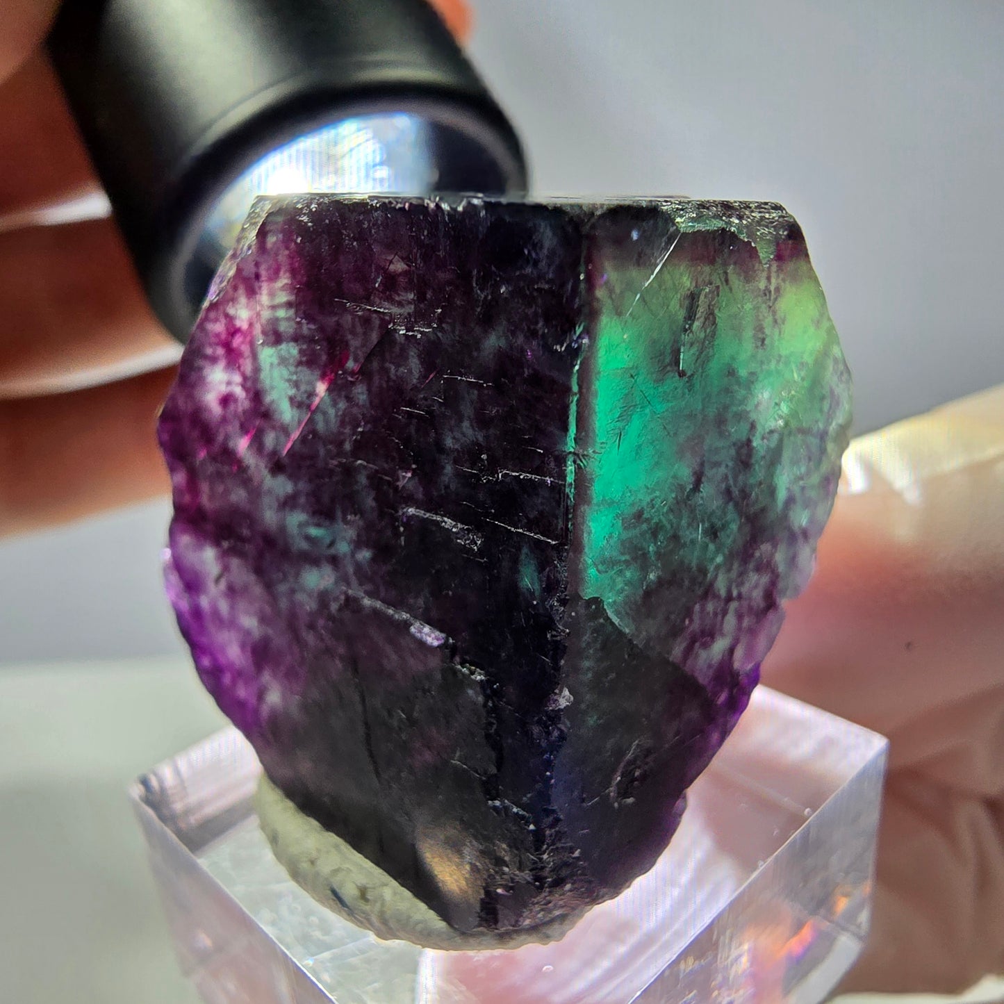 Rare cube de fluorite fantôme parqueté vert violet Okorusu Namibie 31*30*25mm