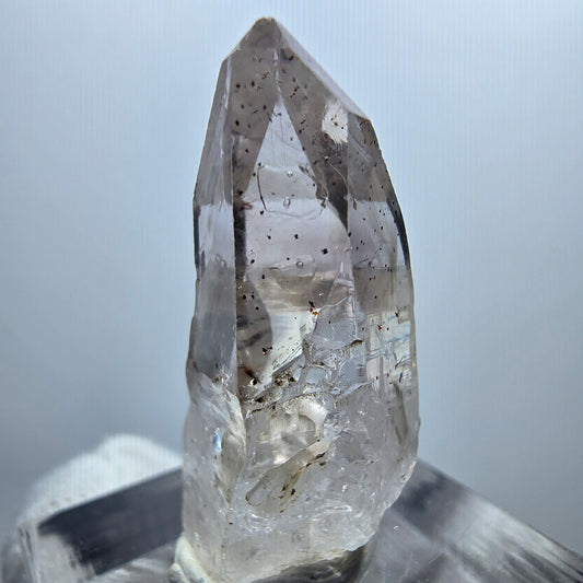 Enhydro Phantom Rauchquarz Zepter, 1x Blase Goboboseb, Namibia 31*13*13mm