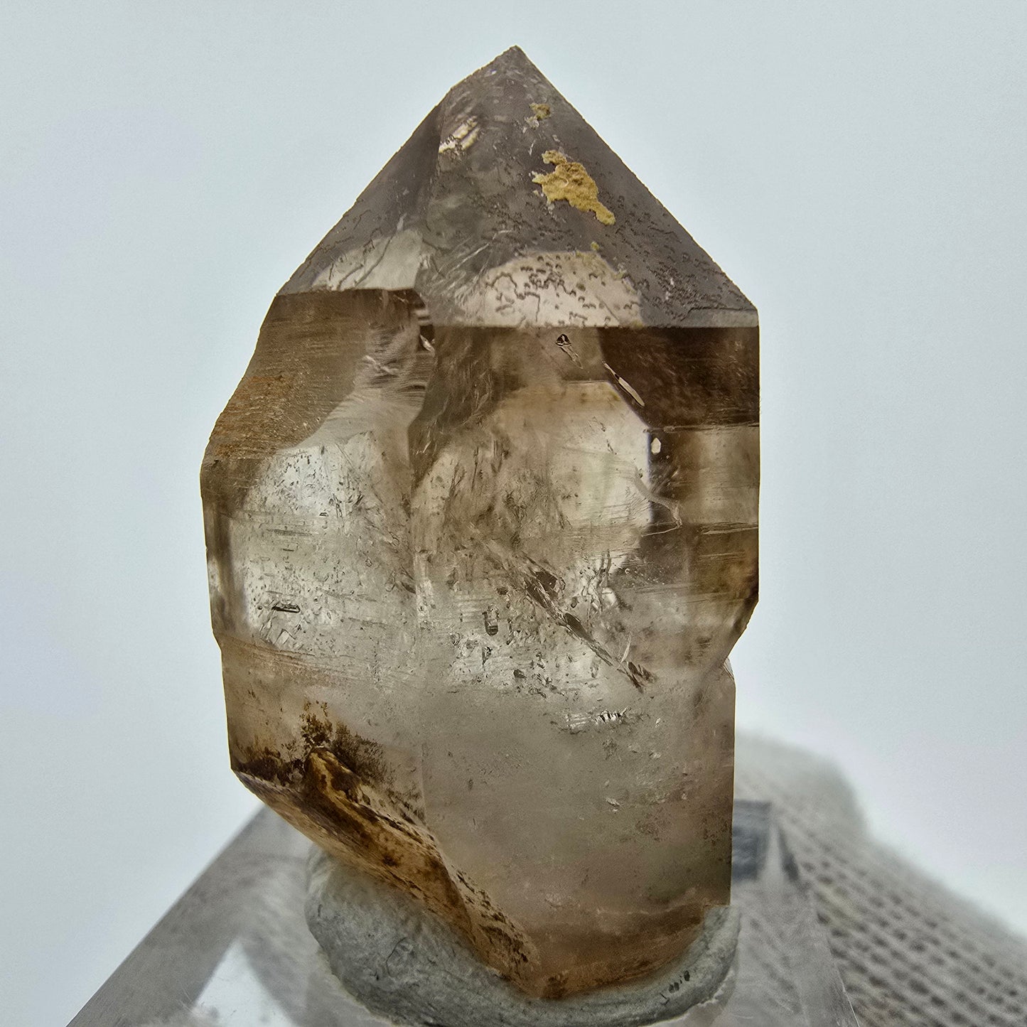 Klarer Phantom Rauchquarz Zepter Kristall Goboboseb, Namibia 37*25*21mm