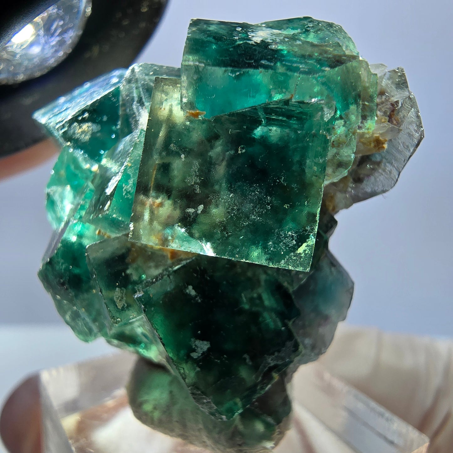 Spécimen de cube de fluorite fantôme, parquet vert Okorusu, Namibie 34 x 37 x 22 mm