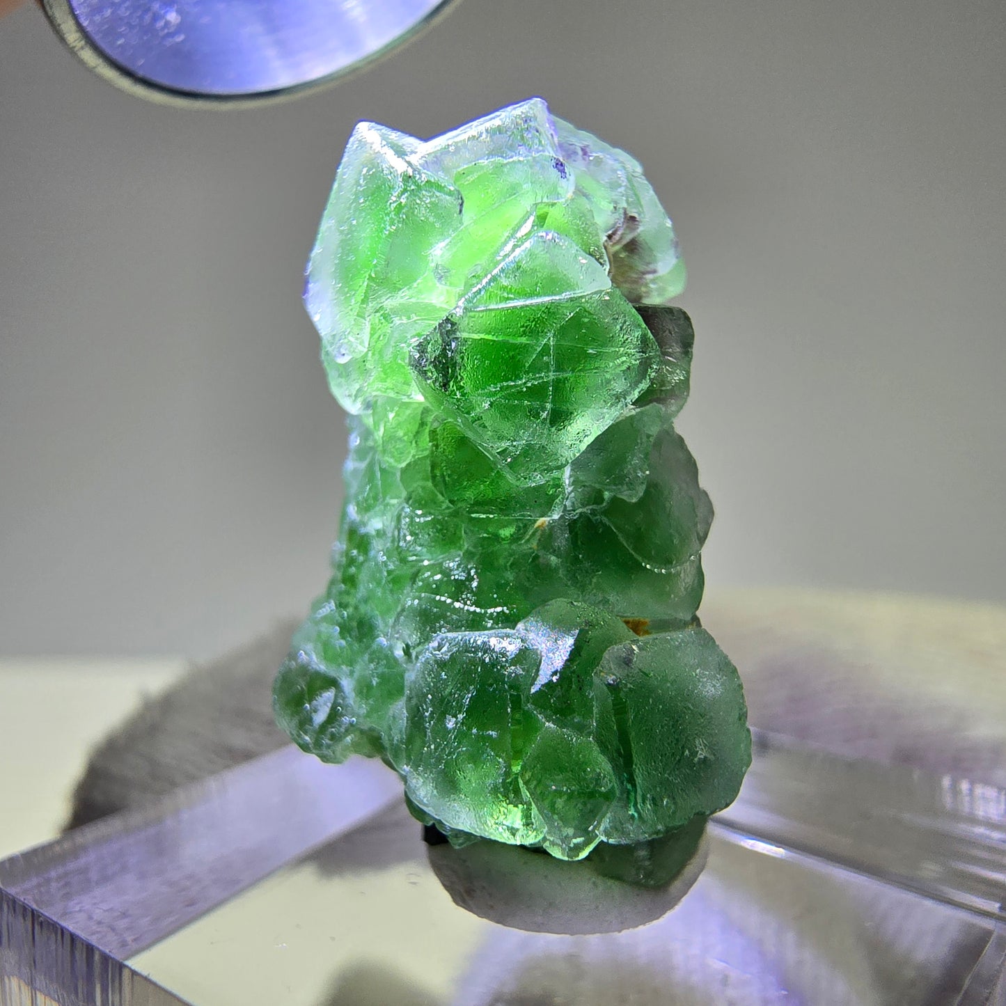 Cube de fluorite fantôme, spécimen de tourmaline Schorl, Erongo, Namibie, 26 x 15 x 15 mm