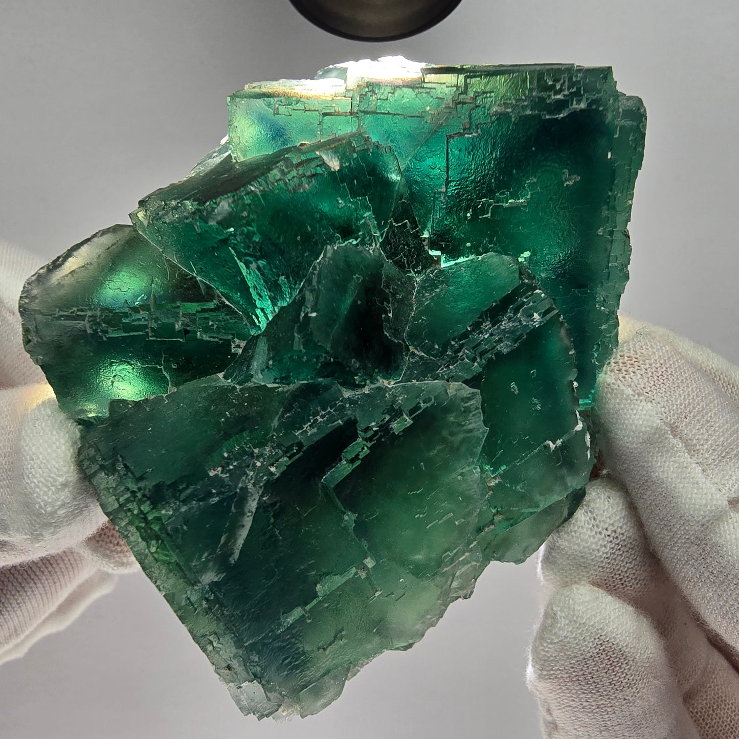 Große Phantom Fluorit Würfel Stufe grün parkettiert Okorusu, Namibia 81*68*35mm