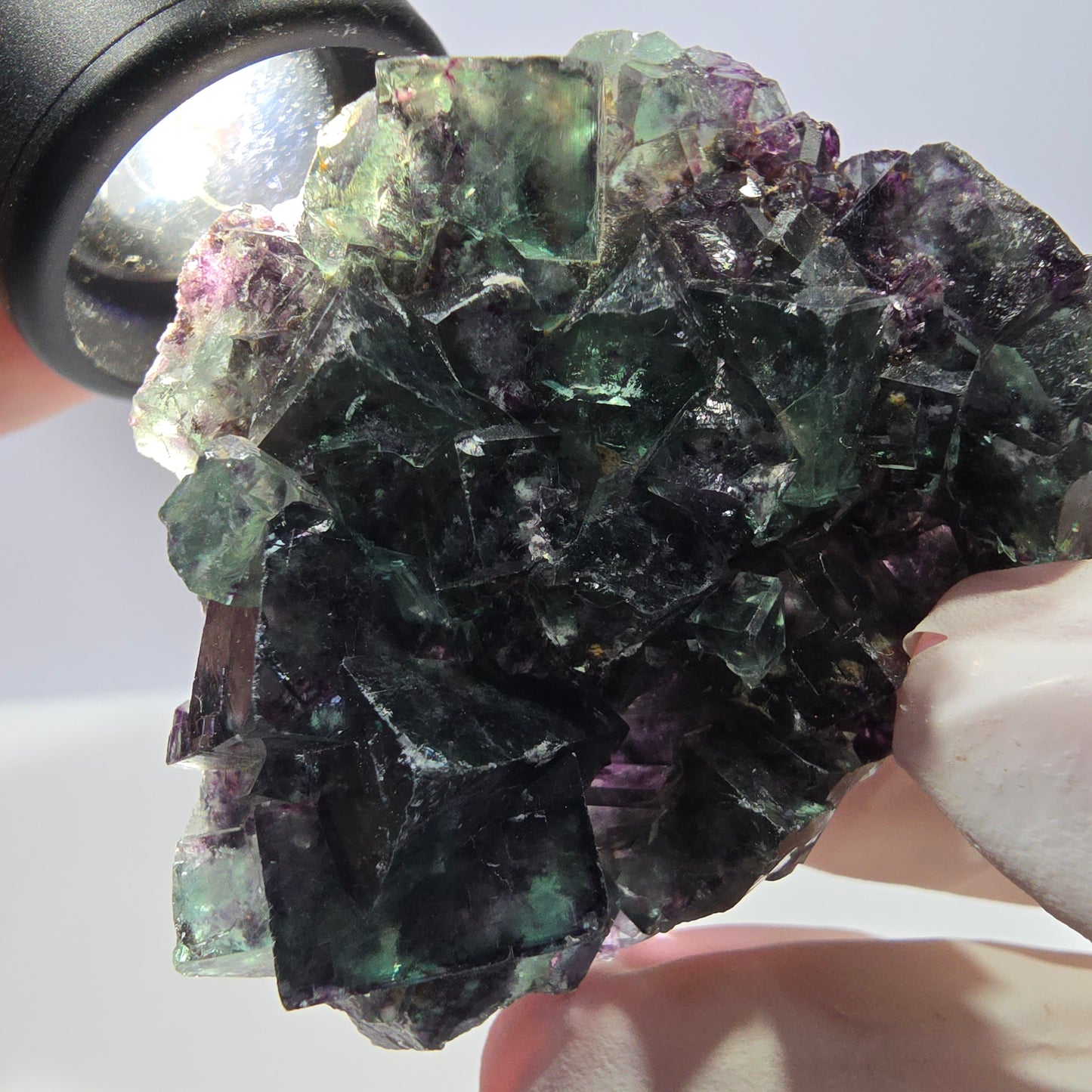 Spécimen de cube de fluorite fantôme parqueté vert violet Okorusu, Namibie 52*42*16 mm