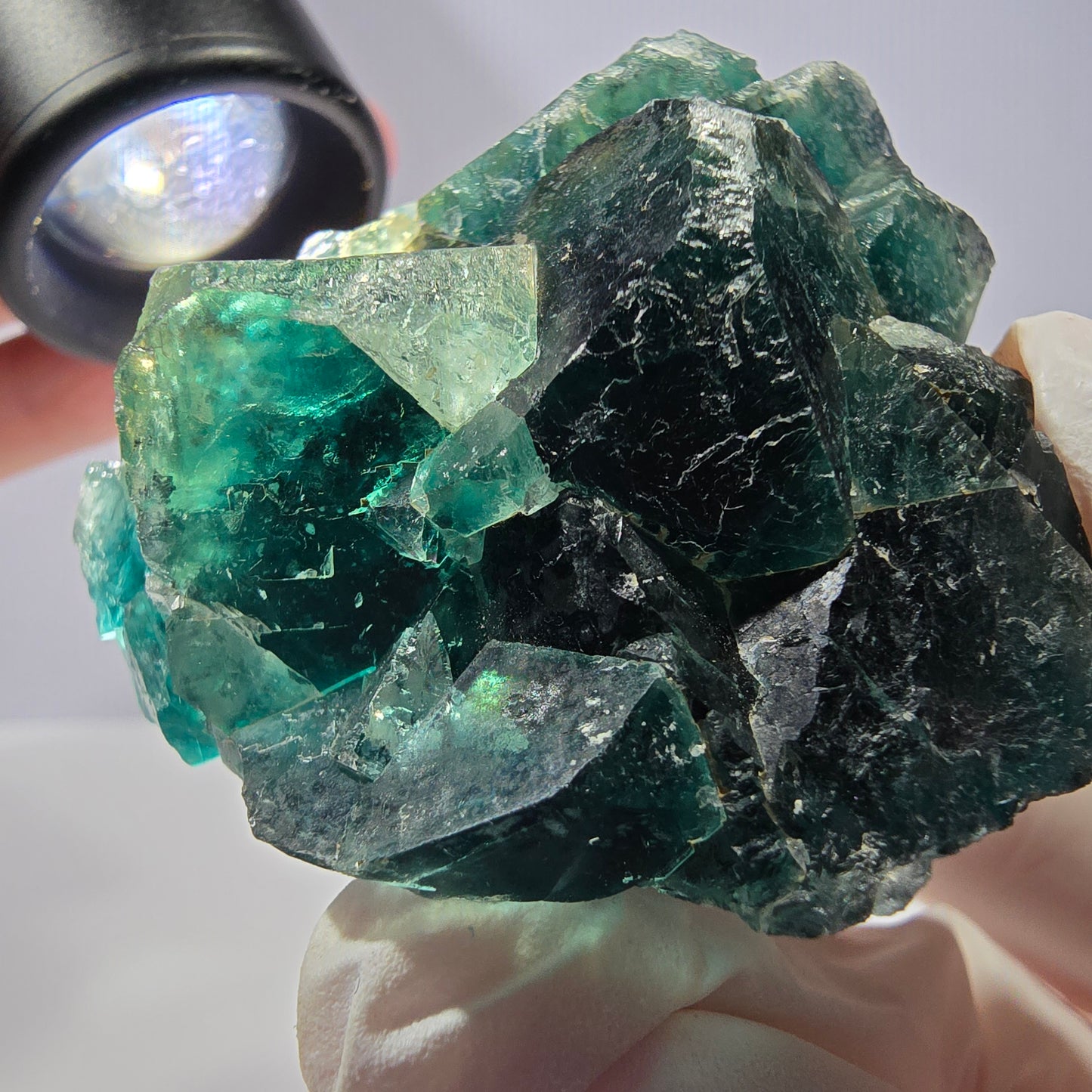 Spécimen de cube de fluorite fantôme, parqueté vert violet Okorusu, Namibie 53*49*28 mm