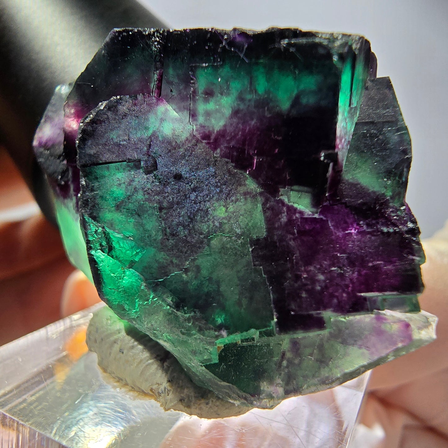 Phantom Fluorit Würfel Stufe, parkettiert grün lila Okorusu, Namibia 39*32*20mm