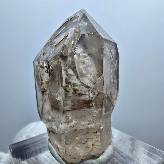 Enhydro Phantom Rauchquarz Zepter, 1x Blase Goboboseb, Namibia 31*23*16mm