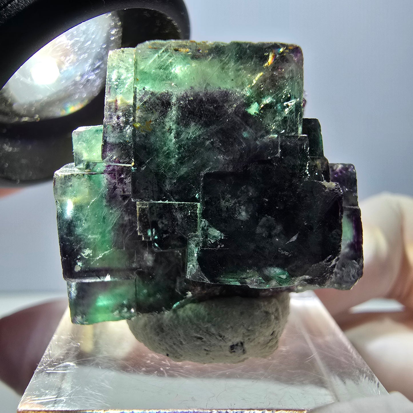 Spécimen de cube de fluorite fantôme, parqueté vert violet Okorusu, Namibie 28*27*22 mm