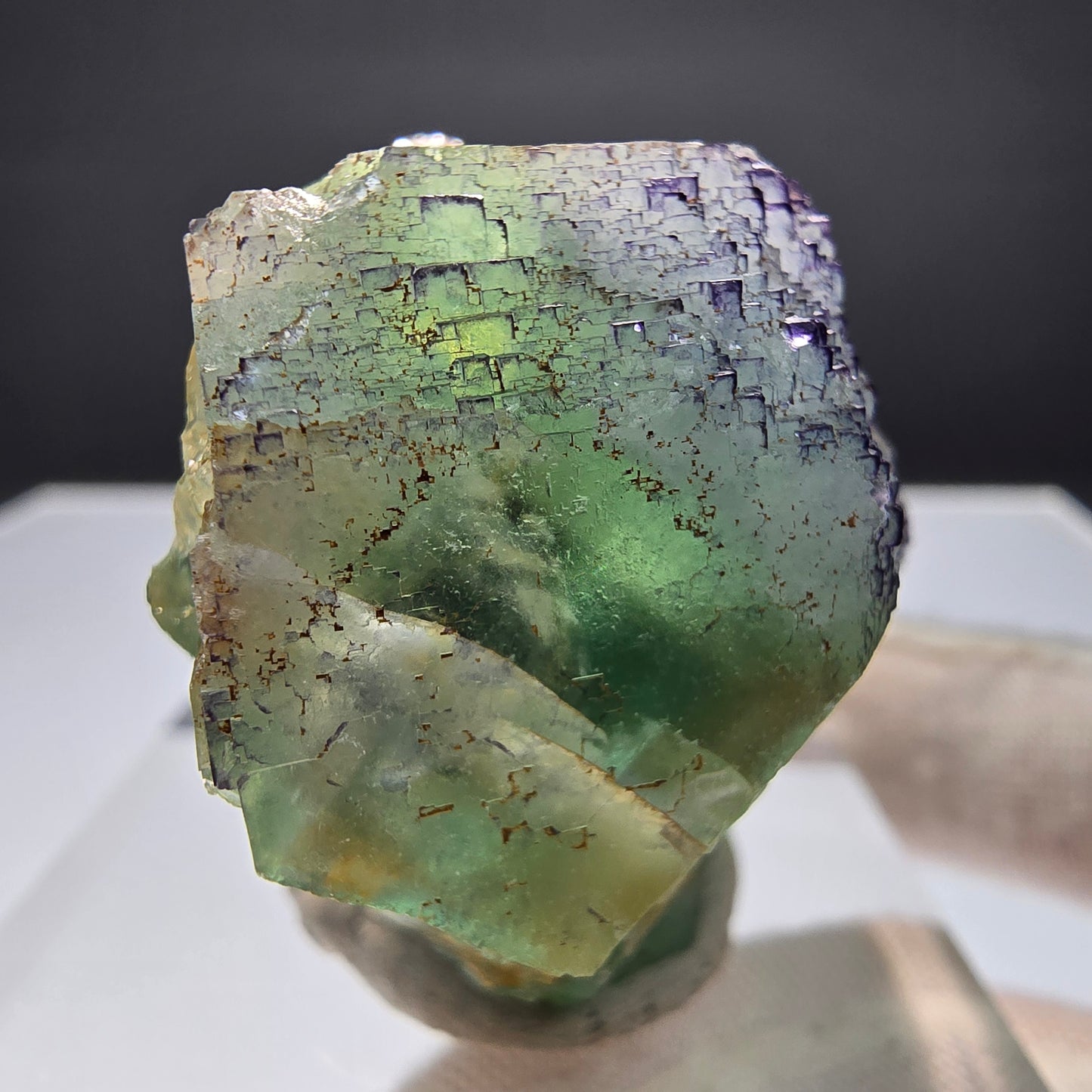 Phantom Fluorit Würfel Stufe grün lila parkettiert Okorusu, Namibia 50*37*25mm