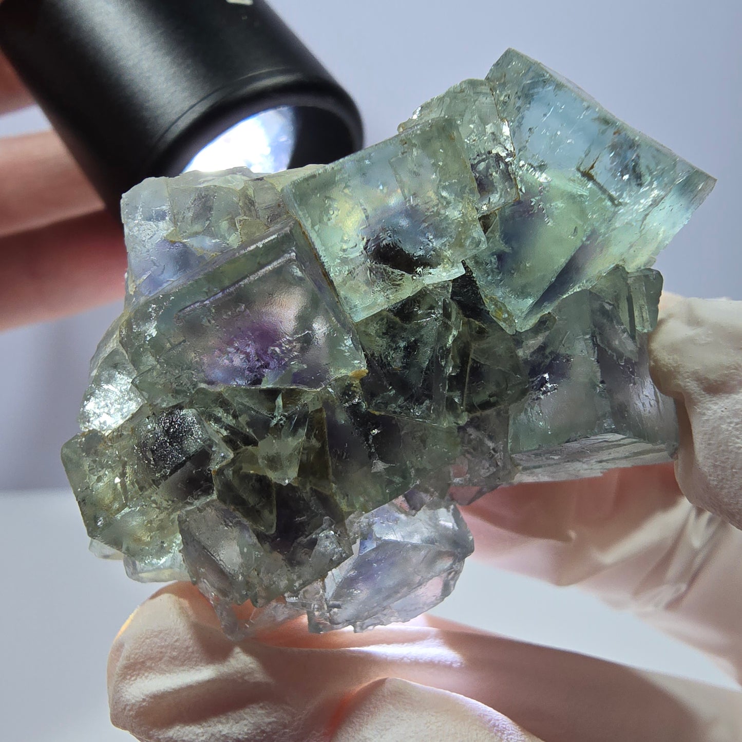 Spécimen de cube de fluorite fantôme, parqueté vert violet Okorusu, Namibie 49*34*13 mm
