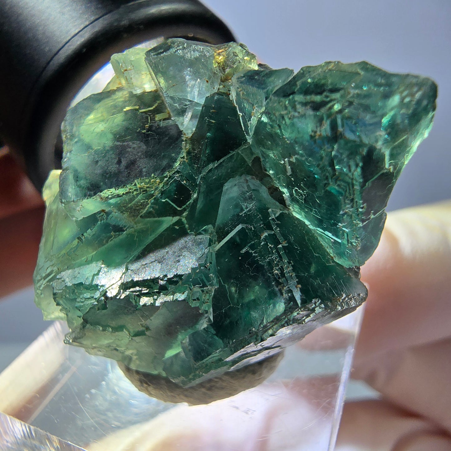 Seltene Phantom Fluorit Würfel Stufe, grün Okorusu, Namibia 33*27*20mm