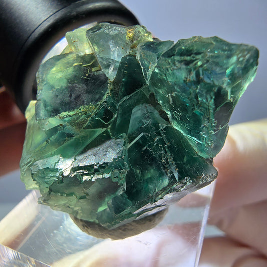 Seltene Phantom Fluorit Würfel Stufe, grün Okorusu, Namibia 33*27*20mm