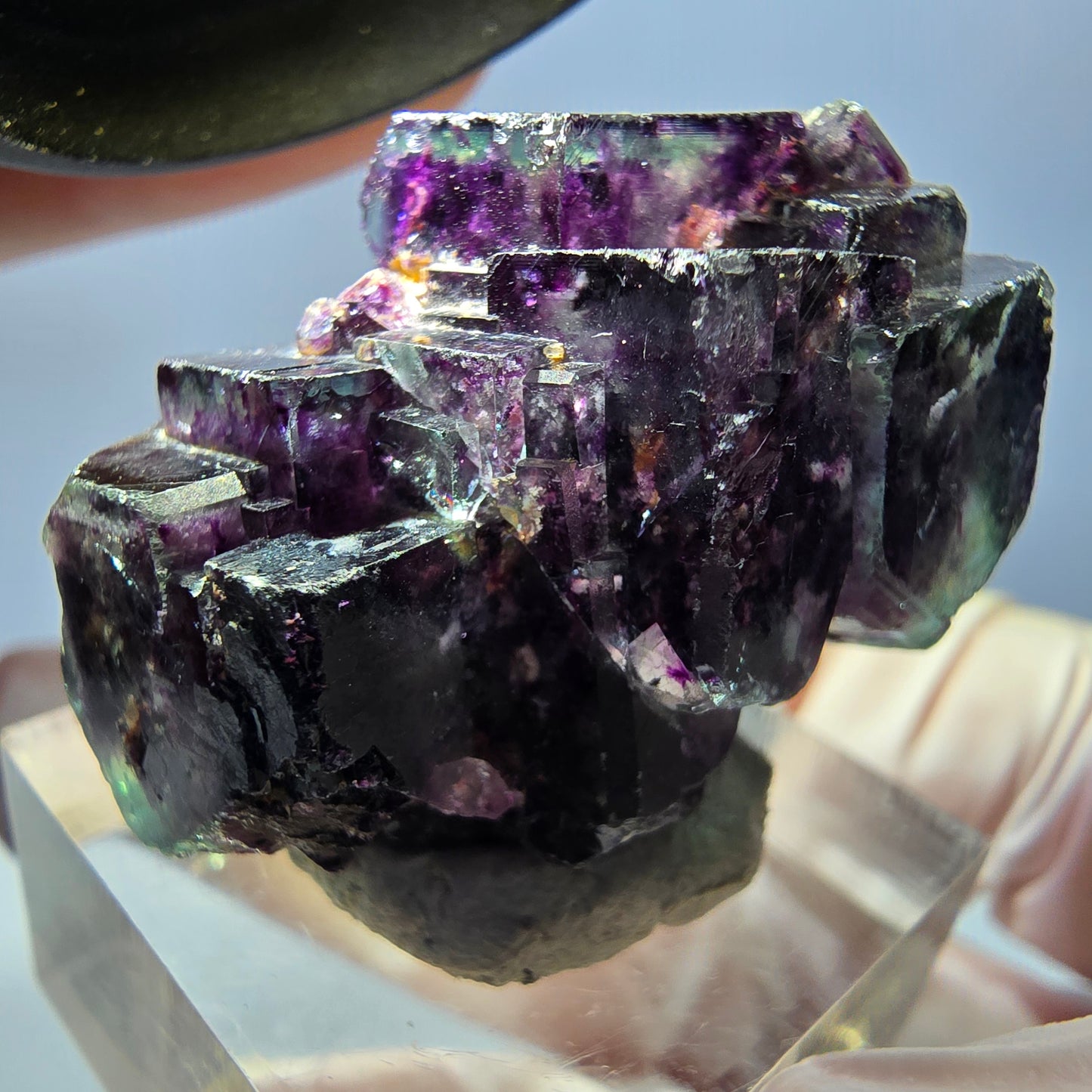 Spécimen de cube de fluorite fantôme, parqueté vert violet Okorusu, Namibie 34*24*19 mm