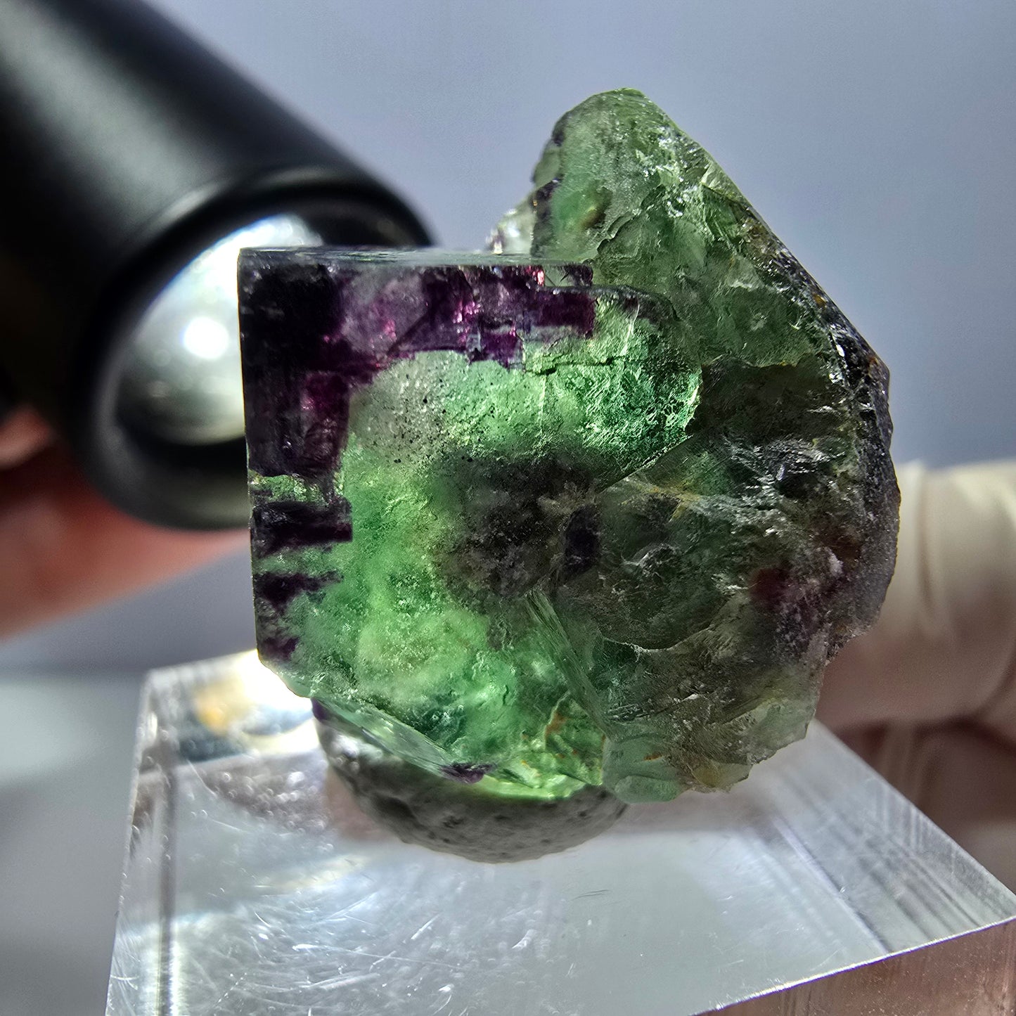 Spécimen de cube de fluorite fantôme, parqueté vert violet Okorusu, Namibie 27*25*20 mm