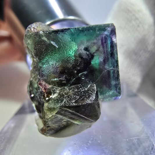 Spécimen rare de cube de fluorite fantôme, vert zonal et violet, Okorusu, Namibie, 22 x 15 x 17 mm