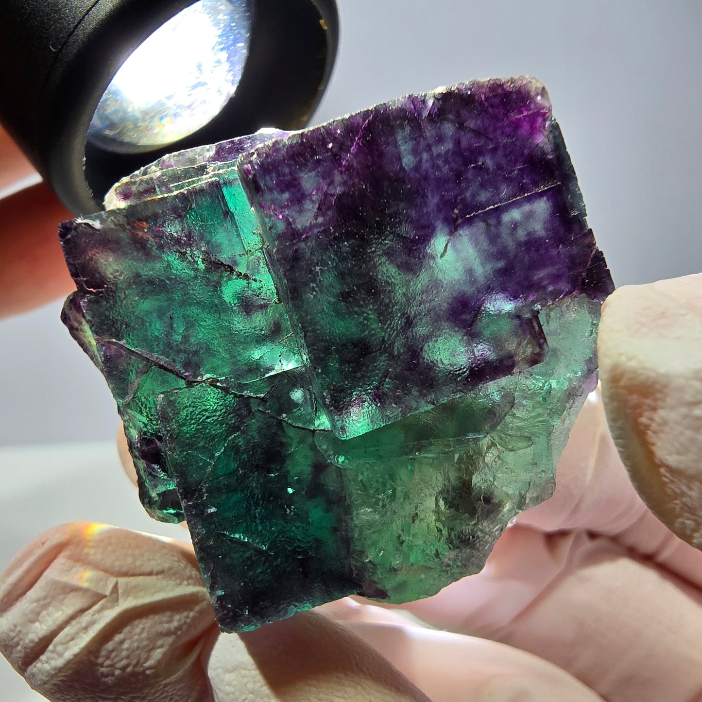 Spécimen de cube de fluorite fantôme, parqueté vert violet Okorusu, Namibie 39*33*22 mm