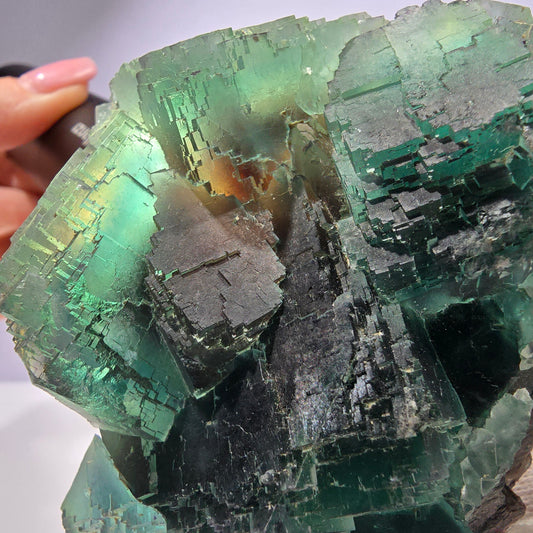 Grand cube de fluorite fantôme vert étagé Okorusu Namibie 100 x 68 x 42 mm