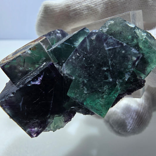 Spécimen rare de cube de fluorite fantôme, vert zonal et violet, Okorusu, Namibie, 50 x 37 x 20 mm