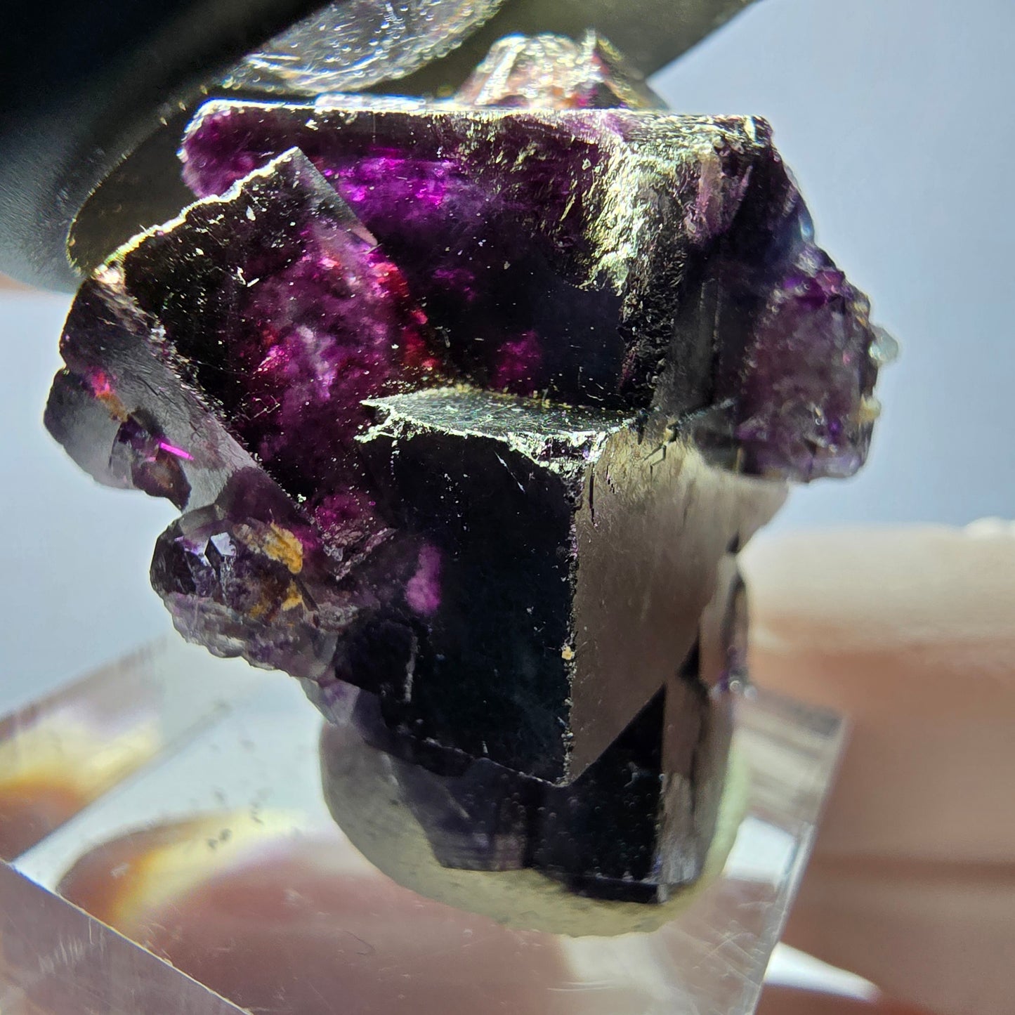Spécimen de cube de fluorite fantôme, parqueté vert violet Okorusu, Namibie 30*24*21 mm