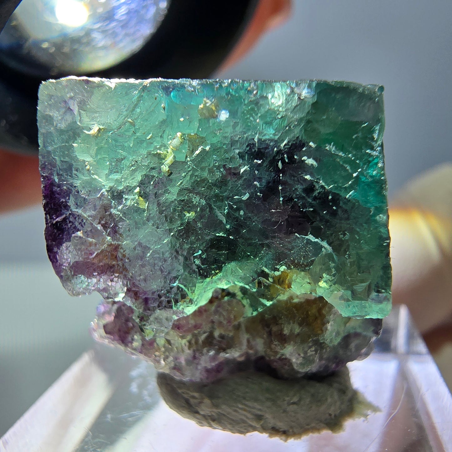 Phantom Fluorit Würfel Stufe, parkettiert grün lila Okorusu, Namibia 27*21*16mm