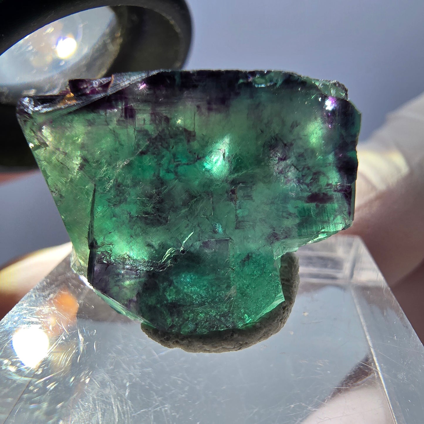 Spécimen de cube de fluorite fantôme, parqueté vert violet Okorusu, Namibie 21*18*16 mm