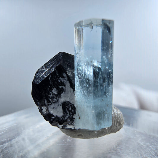 Setlene Aquamarin, Schörl Turmalin Stufe Erongo, Namibia 13*14*10mm