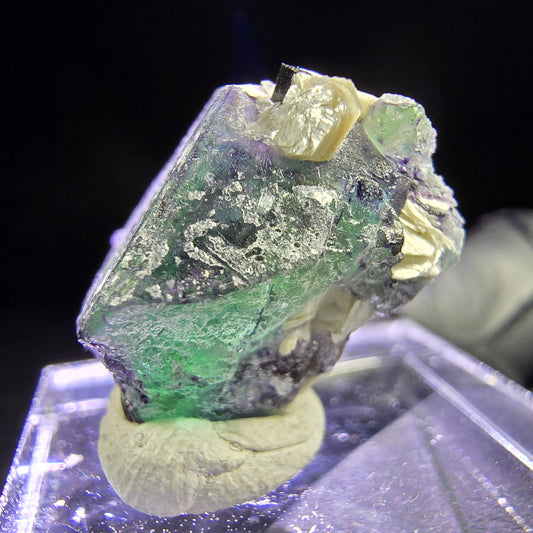 Zonar Fluorite Crystal with Schorl and Muscovite 19*15*14mm from Erongo, Namibia