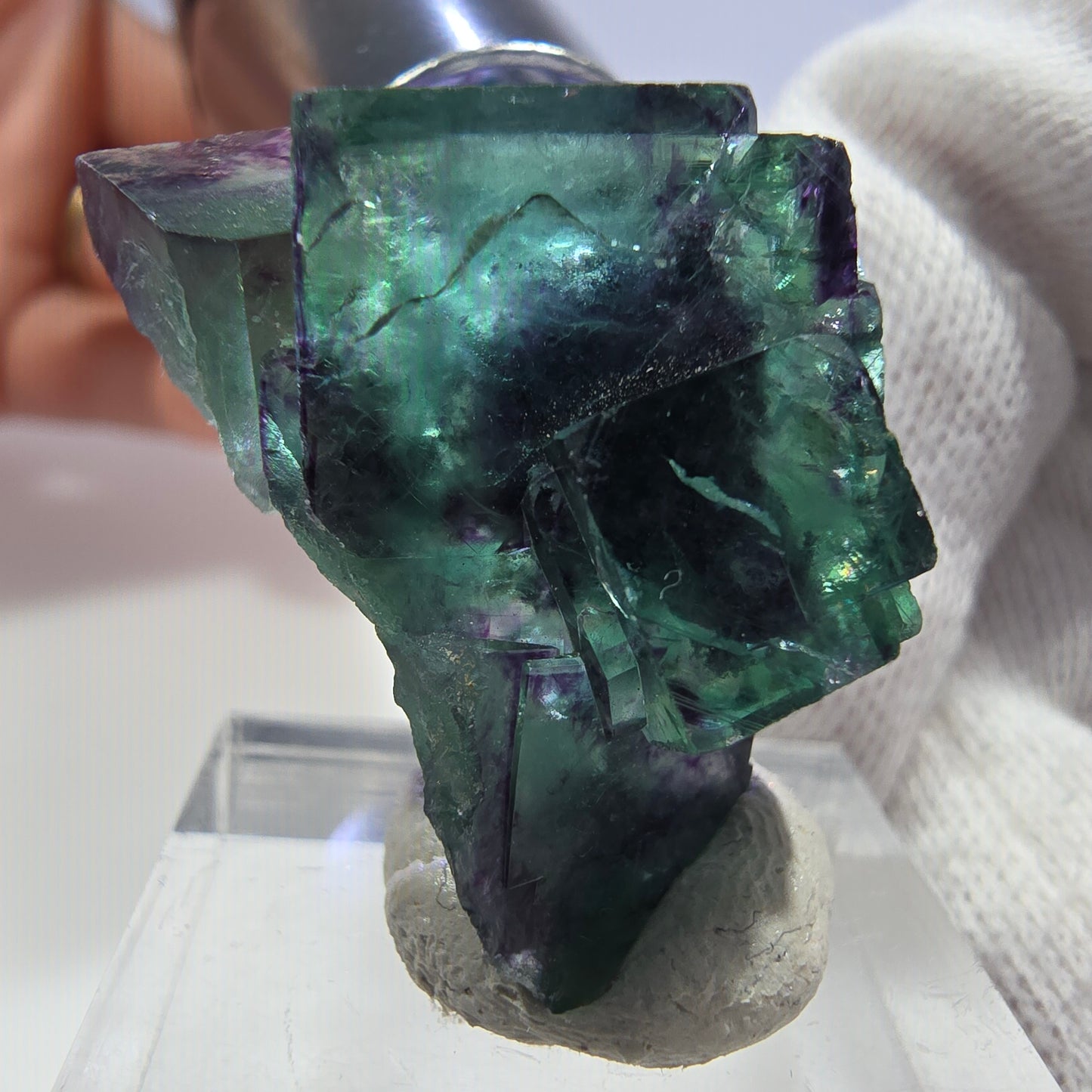 Rare spécimen de cube de fluorite fantôme, vert-violet zonal, Okorusu, Namibie, 31 x 21 x 15 mm