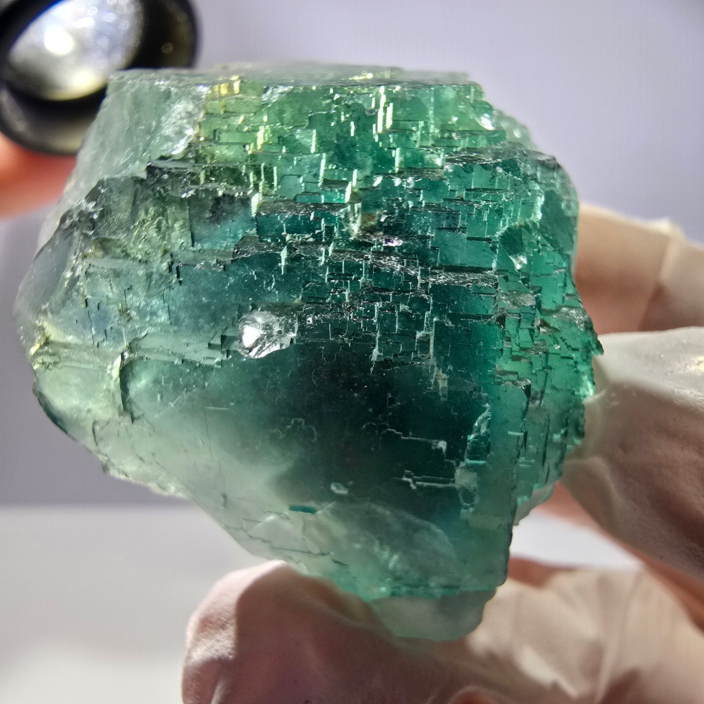 Spécimen de cube de fluorite fantôme transparente, vert parqueté, Okorusu, Namibie, 47 x 40 x 22 mm