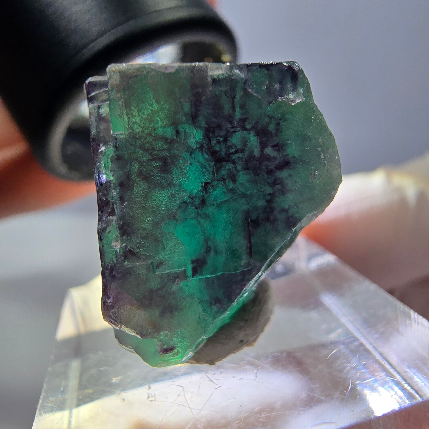 Phantom Fluorit Würfel Stufe, parkettiert grün lila Okorusu, Namibia 21*19*18mm
