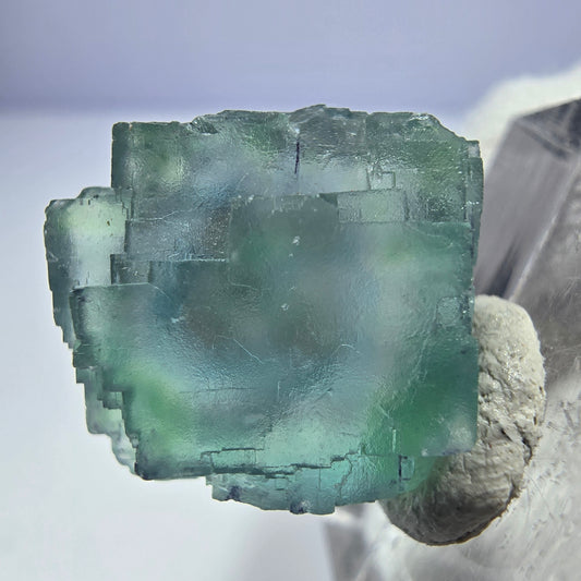Rare cube de fluorite fantôme, parquet vert Okorusu, Namibie 20*18*12mm