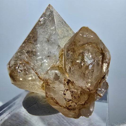 Enhydro Phantom Rauchquarz Zepter, 1x Blase Goboboseb, Namibia 25*24*17mm