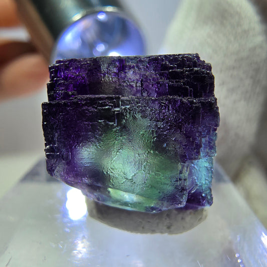 Spécimen de cube de fluorite fantôme parqueté zonal Okorusu, Namibie 16*16*14mm