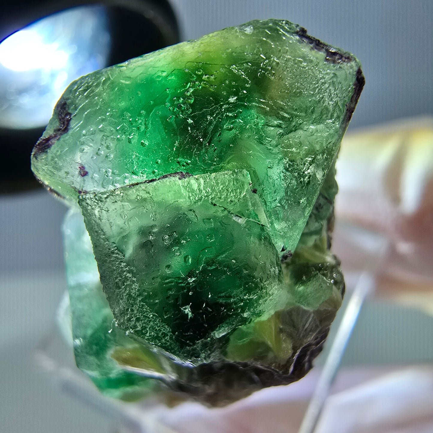 Cube de fluorite fantôme, zonal, spécimen de muscovite, Erongo, Namibie, 29 x 22 x 20 mm
