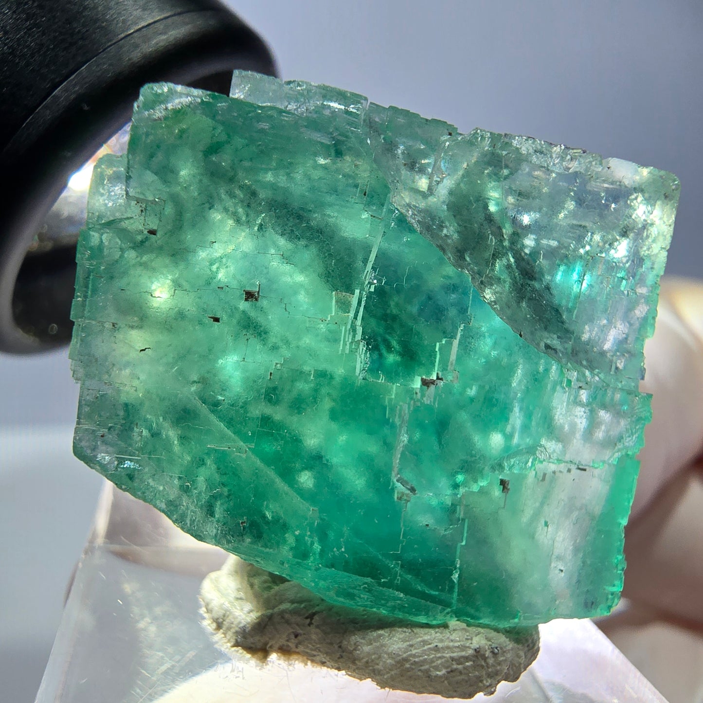 Cube de fluorite fantôme transparente parquetée, vert Okorusu, Namibie 28 x 24 x 20 mm