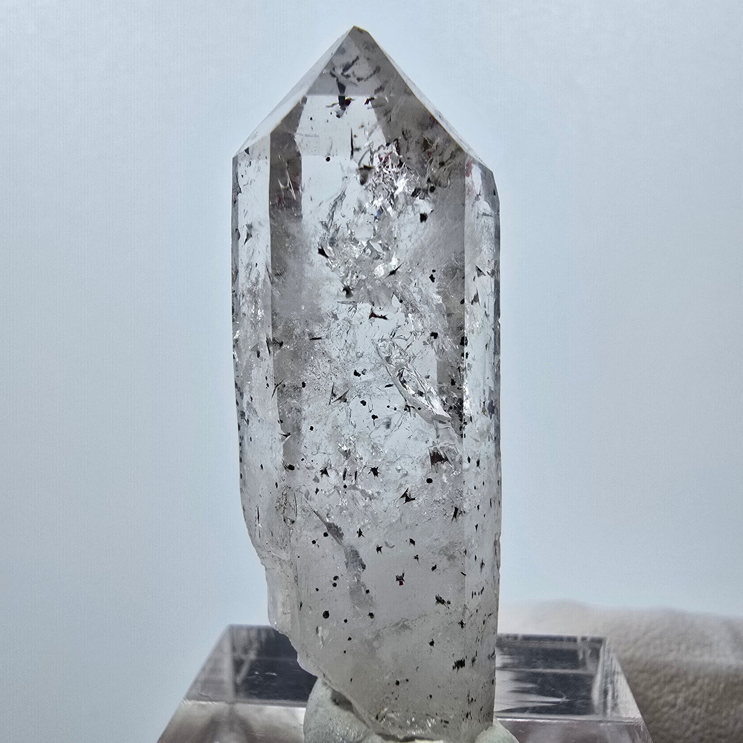 Quartz clair Harlequin Mine Point Streep, Goboboseb, Namibie 42 x 15 x 11 mm