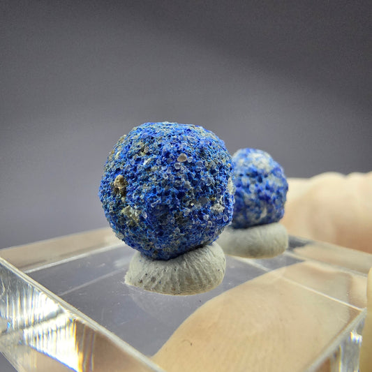 2x seltene Azurit Blueberry - Set 12,2mm + 9,2mm Durchmesser aus USA, New Mexico