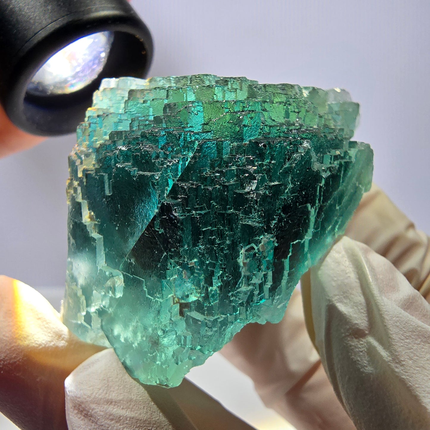 Spécimen de cube de fluorite fantôme transparente, vert parqueté, Okorusu, Namibie, 65 x 46 x 28 mm