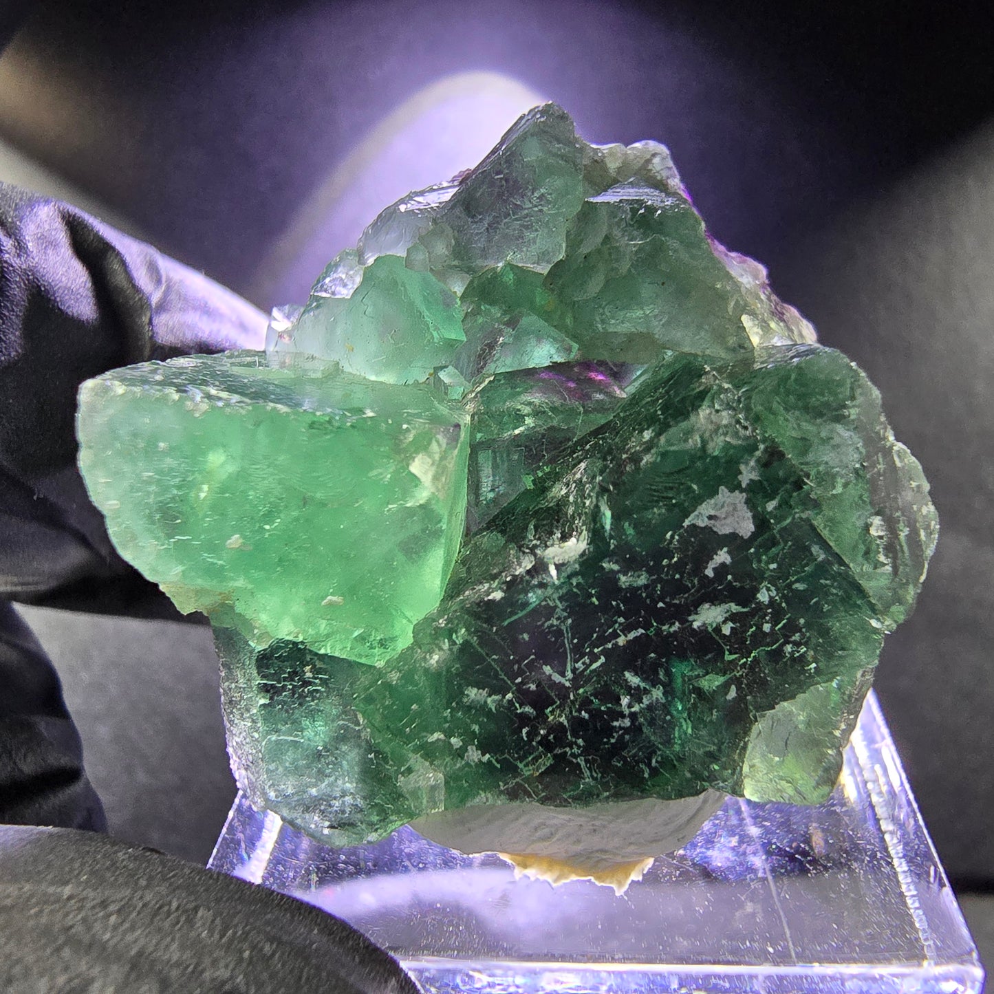 Seltene Phantom Fluorit XX Würfel Stufe grün lila 30*26*14mm aus Okorusu, Namibia