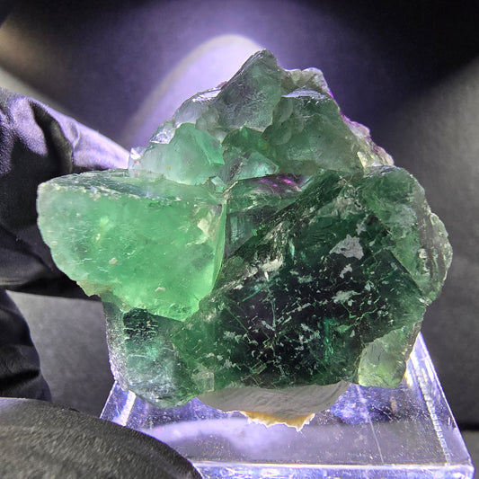 Rare Phantom Fluorite XX cube grade vert violet 30*26*14mm d'Okorusu, Namibie