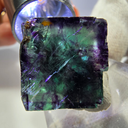 Spécimen de cube de fluorite fantôme transparente, vert-violet zonal, Okorusu, Namibie, 24 x 23 x 14 mm