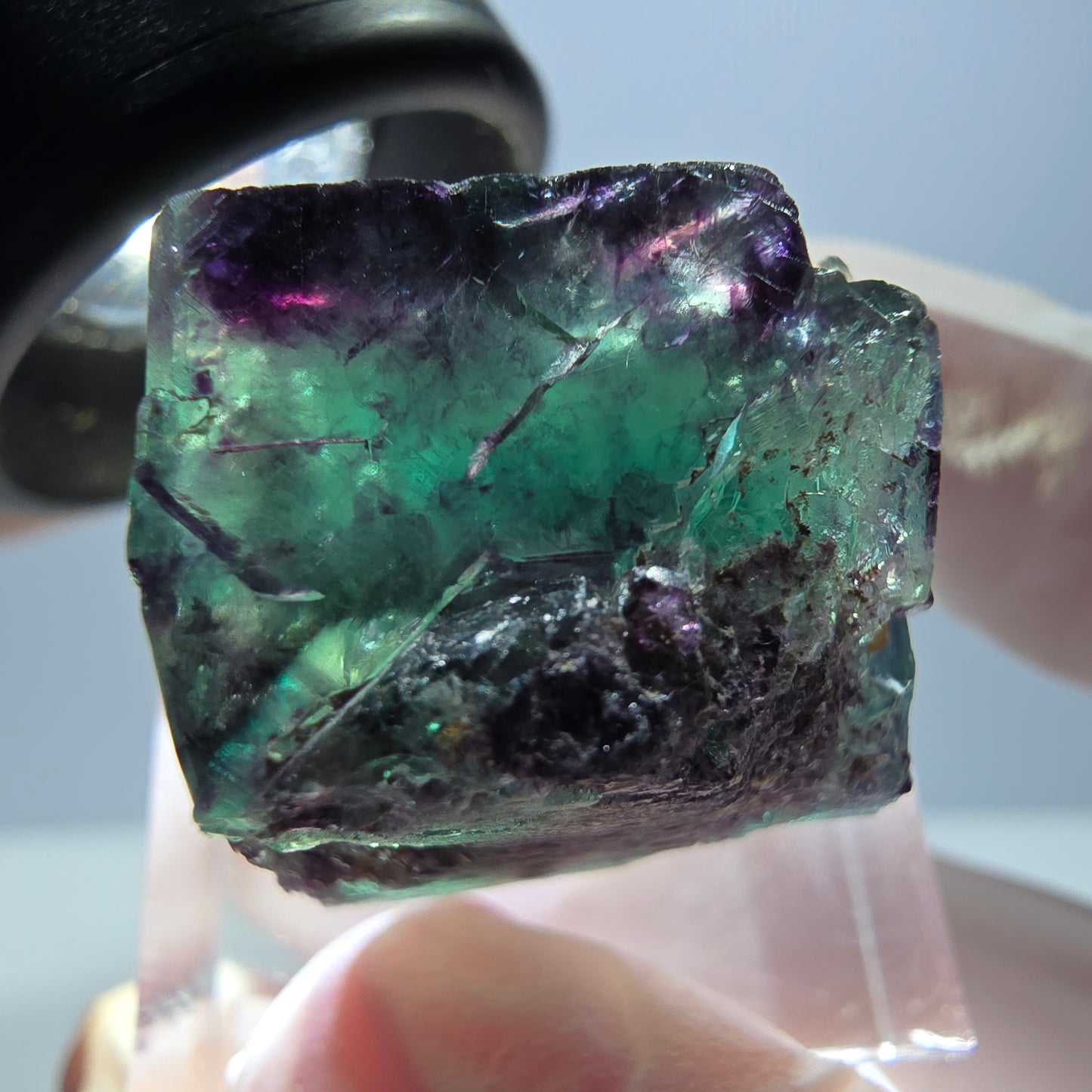 Spécimen de cube de fluorite fantôme, parqueté vert violet Okorusu, Namibie 22*22*18 mm