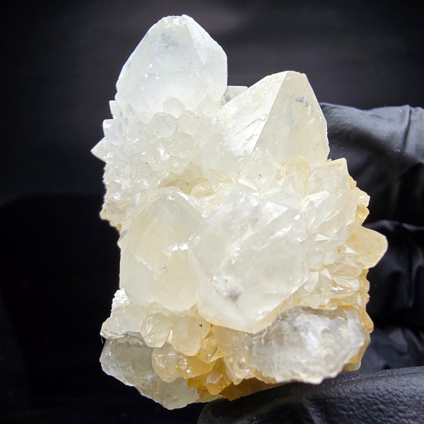 Cactus Quartz, Spirit Quartz XX Grade Boekenhouthoek, South Africa 50*43*38mm Collection